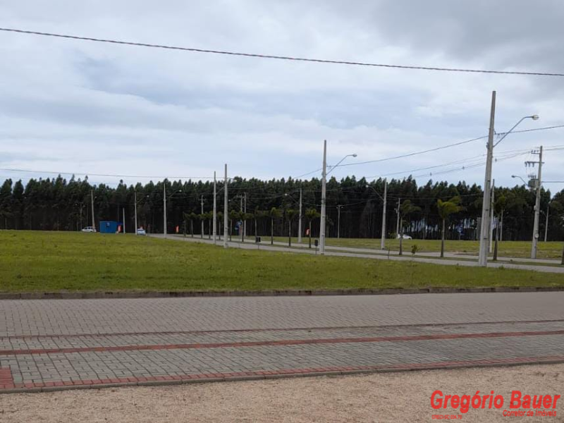 TERRENOS EM ARARANGUÁ/SC - ÁREA PRIVILEGIADA